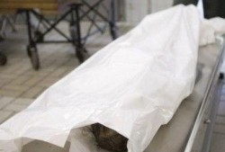 太平间真实爆料视频播放,真实爆料视频背后的惊悚真相