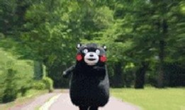 怎么爆料熊警官的人呢视频,揭秘“怎么爆料熊警官的人呢”视频背后的真相