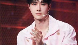 老王爆料王源视频播放